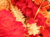 Tn IMG 2431